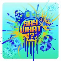 Us3 - Say What!?