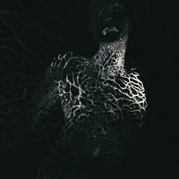 Ulcerate - To Flow Through Ashen Hearts