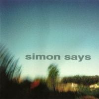 Simon Says - Perfect Example