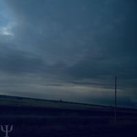 Distress - Whitefly (III)