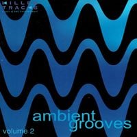 Various Artists - Ambient Grooves, Vol. 2