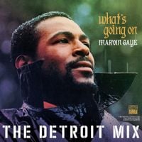 Marvin Gaye - What's Going On: The Detroit Mix