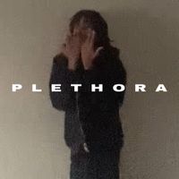 fuktokyo! - plethora
