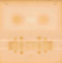 Dr. Dog - Talk is Cheap