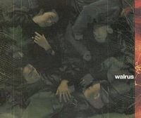 WALRUS - 空の心