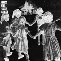 Softcult - One Of The Pack