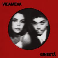 Ginest&agrave; - VIDA MEVA