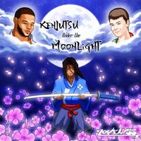 Noveliss - Kenjutsu Under The Moonlight