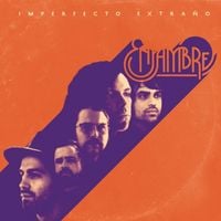 Enjambre - Imperfecto Extra&ntilde;o