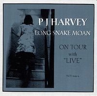 PJ Harvey - Long Snake Moan