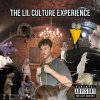 Lil Culture - The Lil Culture Experience