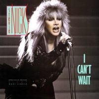 Stevie Nicks - I Can't Wait