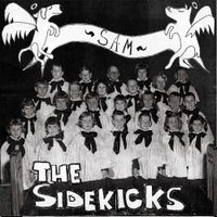 The Sidekicks - Sam