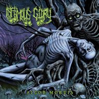 Infamous Glory - Algor Mortis