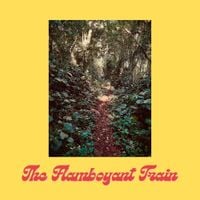 The Flamboyant Train - Bloomed