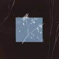 Bird Bone - Лейтмотив