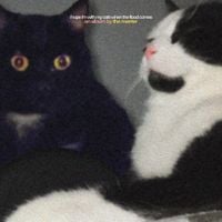 the merrier - i hope i'm with my cats when the flood comes