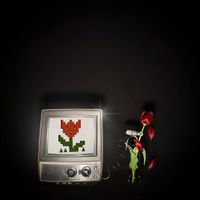 Elio Mei - Garden Jargon
