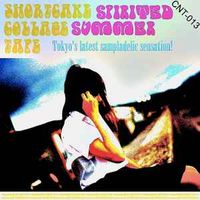 Shortcake Collage Tape - Spirited Summer