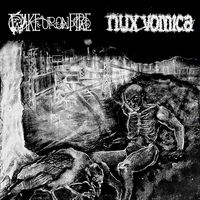 Wake Up On Fire - Wake Up on Fire & Nux Vomica Split