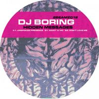 DJ Boring - Hidden Messages
