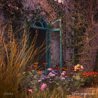 Zonra - Open Windows