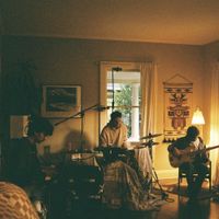 Ian Ewing, Birocratic, Ornithology - Ian Ewing & Friends
