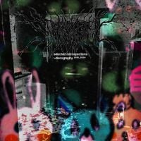 Strawberry Hospital - Selected Retrospections (Discography 2016​-​2024)