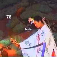 keni can fly - 78 Birds