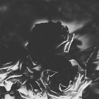 Hexis & TELOS - Split