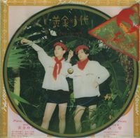 Pale Cocoon - 黄金時代