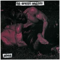 Од вратот надолу [Od vratot nadolu] - Жива [Živa]