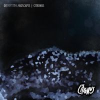 Citronus - Distorted Landscapes