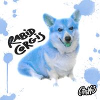 Citronus - Rabid Corgis