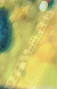kuragari - niconico