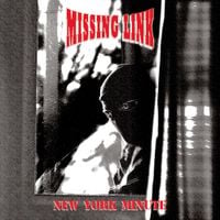 Missing Link - New York Minute