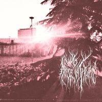 A Rose Dying in the Rain - eternal sunset