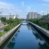 Safmusic - From this river, to the ocean