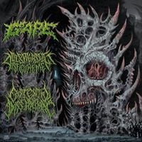 Gape - International Solidification