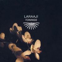 Laraaji - Tonings