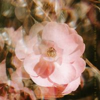sweetch - my flower