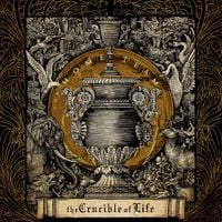 The Home Team - The Crucible of Life