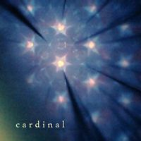 Akamimi - cardinal