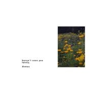 Knapsack - haven't seen you lately, demos