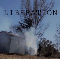 Toni $aprano - Liberation