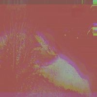 Dating - Supercollider