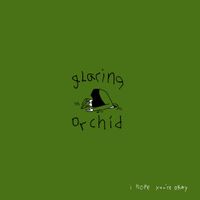 Glaring Orchid - i hope you're okay