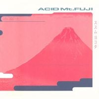 ススム ヨコタ [Susumu Yokota] - Acid Mt. Fuji
