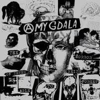 Amygdala - The Horror of Never Being Able to Forget