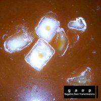 gaop - Negative Rain Transmissions
